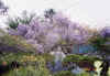 fuji.jpg (26858 oCg)